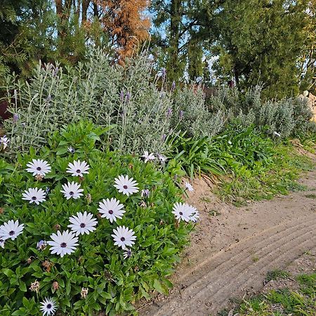 דירות סינגלטון Gowrie Agapanthus מראה חיצוני תמונה